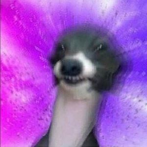 Meet your Posher, Becca